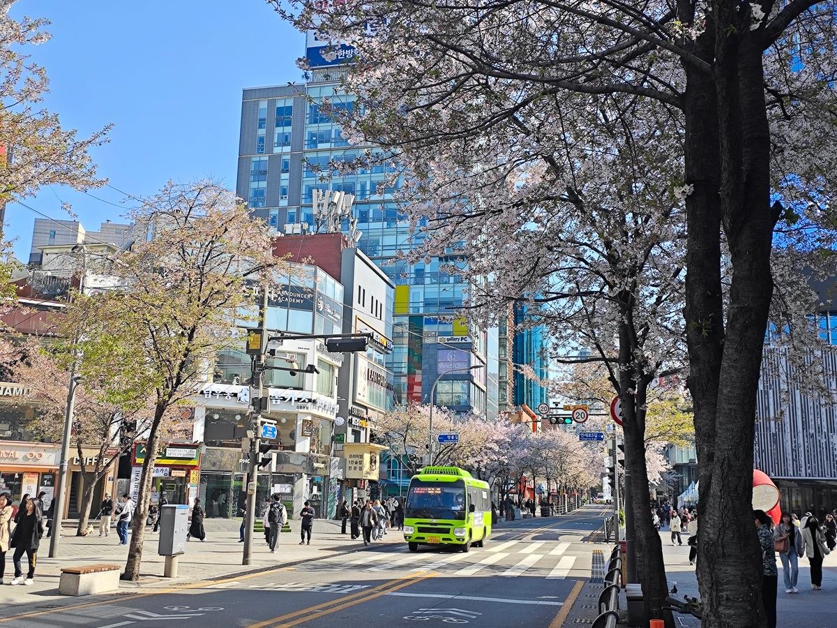 Korean Etiquette for Tourists