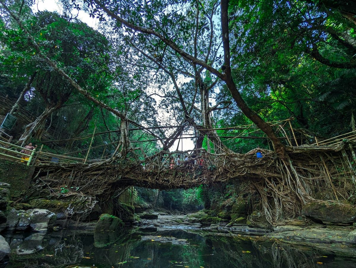 Magical Meghalaya – Shillong, Mawlynnong & Cherrapunji - 6 Nights / 7 Days