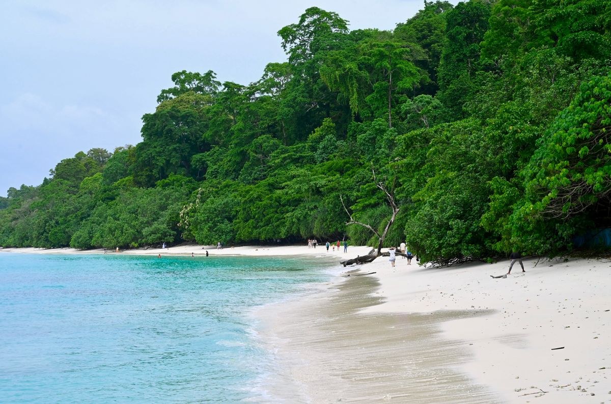 Andaman Tour Package | Havelock, Neil Island & Port Blair